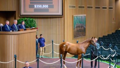 Colts demand continues at Keeneland in September