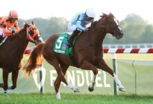 Bringing Smokin Back to Defend the Kentucky Turf Cup Title