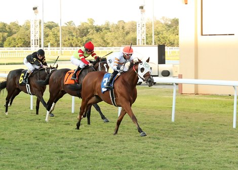 Gunny Highway Wins; Blended Citizen's First Winner