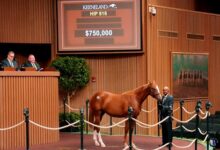 Quintet of Yearlings Hits $750,000 at Keeneland