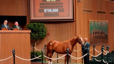 Quintet of Yearlings Hits $750,000 at Keeneland