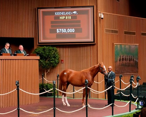 Quintet of Yearlings Hits $750,000 at Keeneland