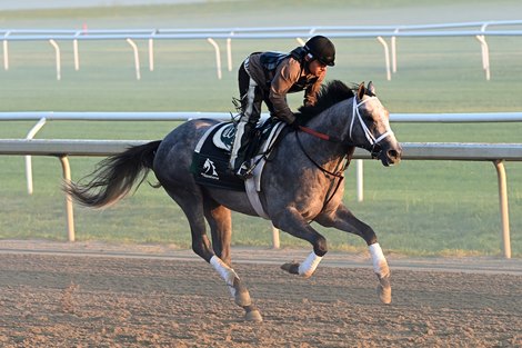 Classic Winner Wins Gray Tops Pennsylvania Derby