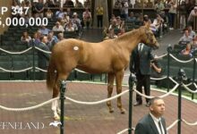 $5M Curlin Colt Tops Book 1 - Video -