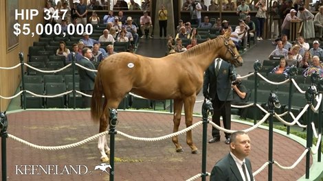 $5M Curlin Colt Tops Book 1 - Video -