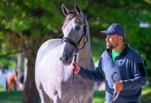 Machmer Hall Offers 'Special' Full Sister for Gift Boxes