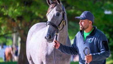 Machmer Hall Offers 'Special' Full Sister for Gift Boxes