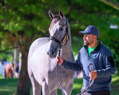 Machmer Hall Offers 'Special' Full Sister for Gift Boxes