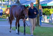 Kingswood Farm Brings Quality to Keeneland in September