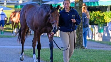 Kingswood Farm Brings Quality to Keeneland in September