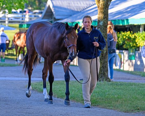 Kingswood Farm Brings Quality to Keeneland in September