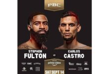 Stephen Fulton vs Carlos Castro full fight video poster 2024-09-14