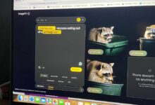 How to Use ImageFX, Google's AI Image Generator