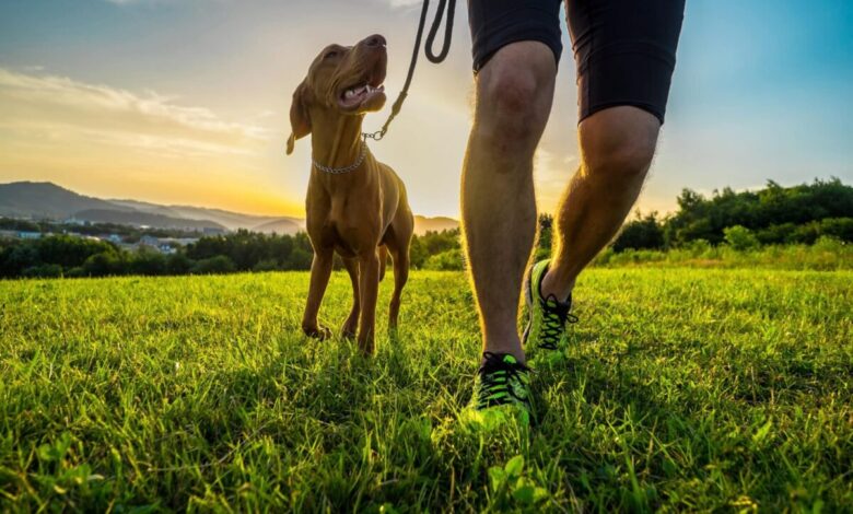 9 Signs Your Dog Is Trying to Turn You Into a Morning Jogger