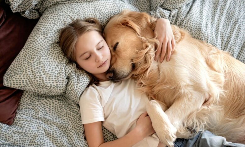 7 Dog Breeds That Are Perfect Cozy Nighttime Companions